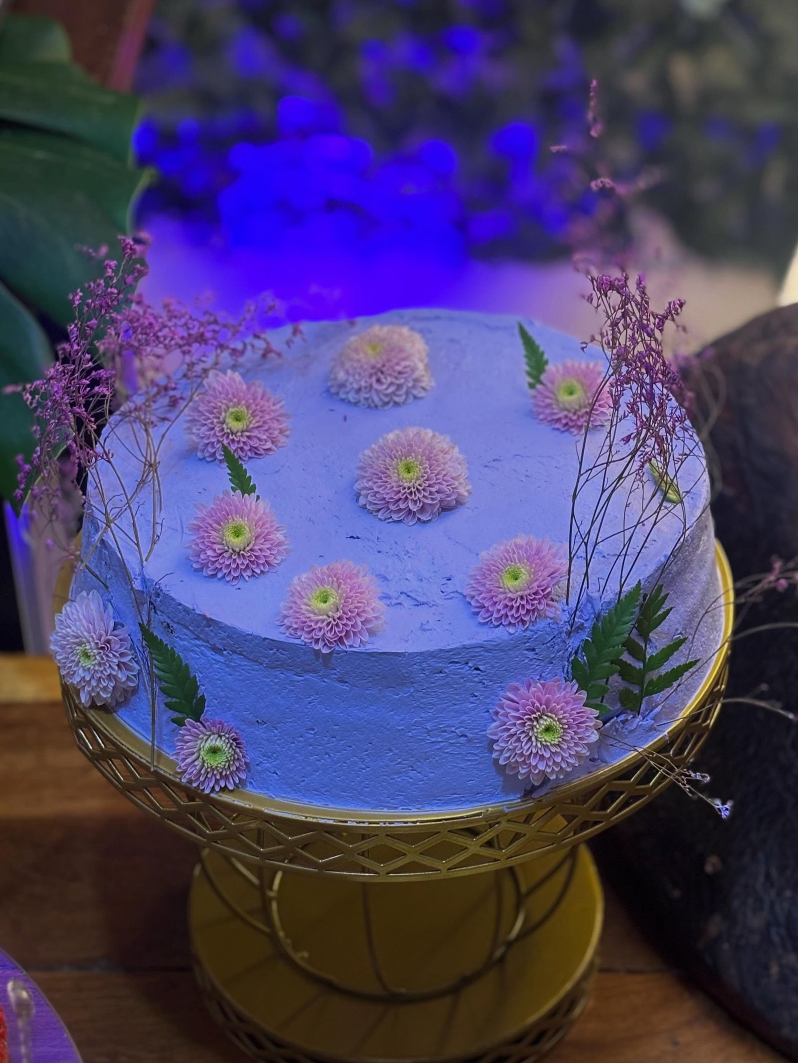 Aniversários & Comemorações